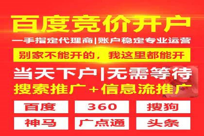 百度推广费用的投入与市场占有率提升的关联案例